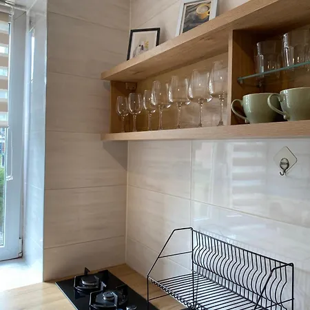 Apartament Eko - Nowy W Centrum Z Prywatnym Zadaszonym Parkingiem Gliwice